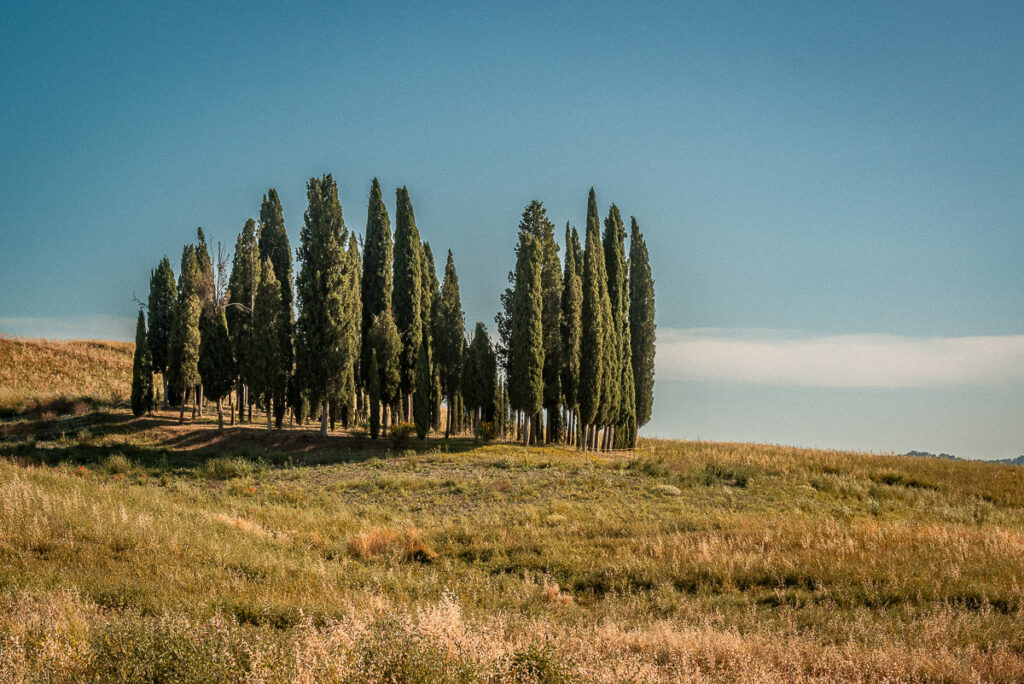 Europa, Itália, Toscana, europa, familia, ferias, italia