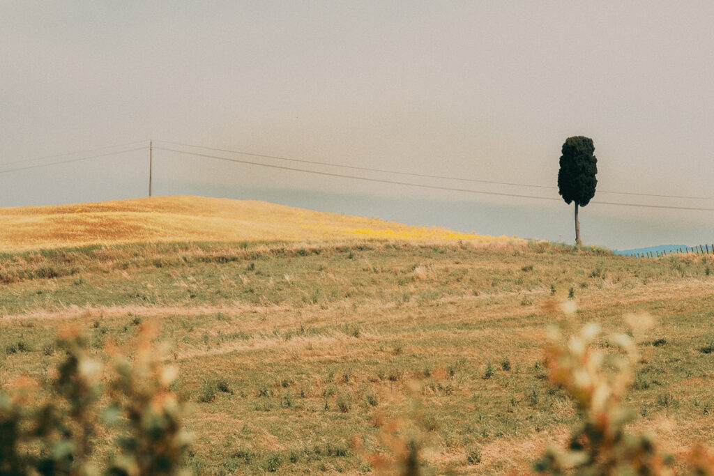 Europa, Itália, Toscana, europa, familia, ferias, italia