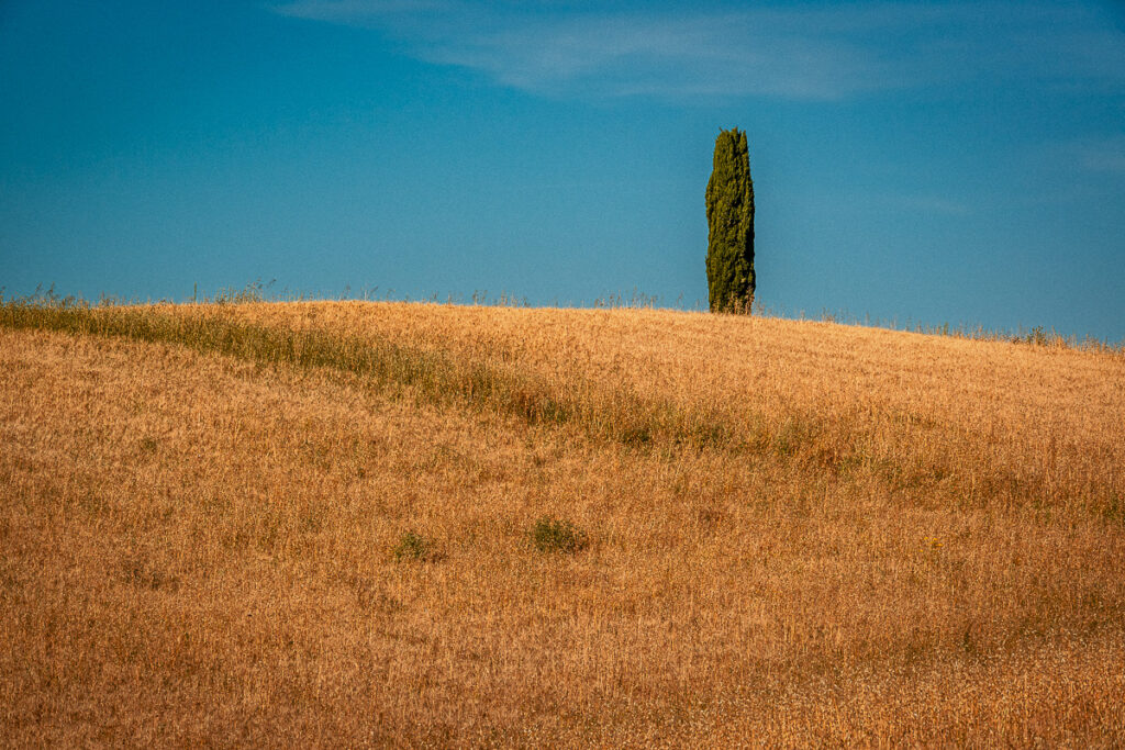 Europa, Itália, Toscana, europa, familia, ferias, italia